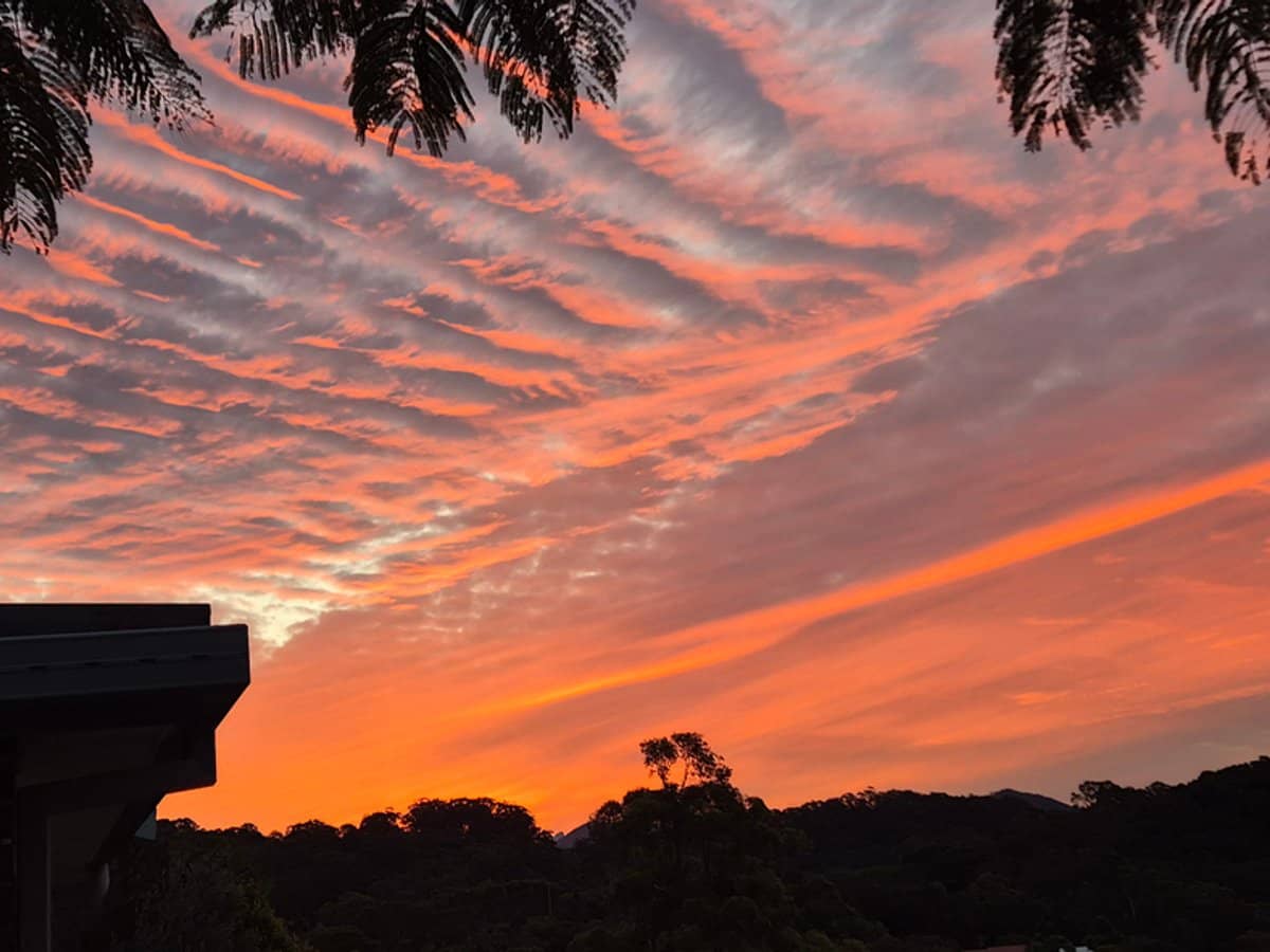 32 Tongarra Drive, OCEAN SHORES - Thumbnail 34