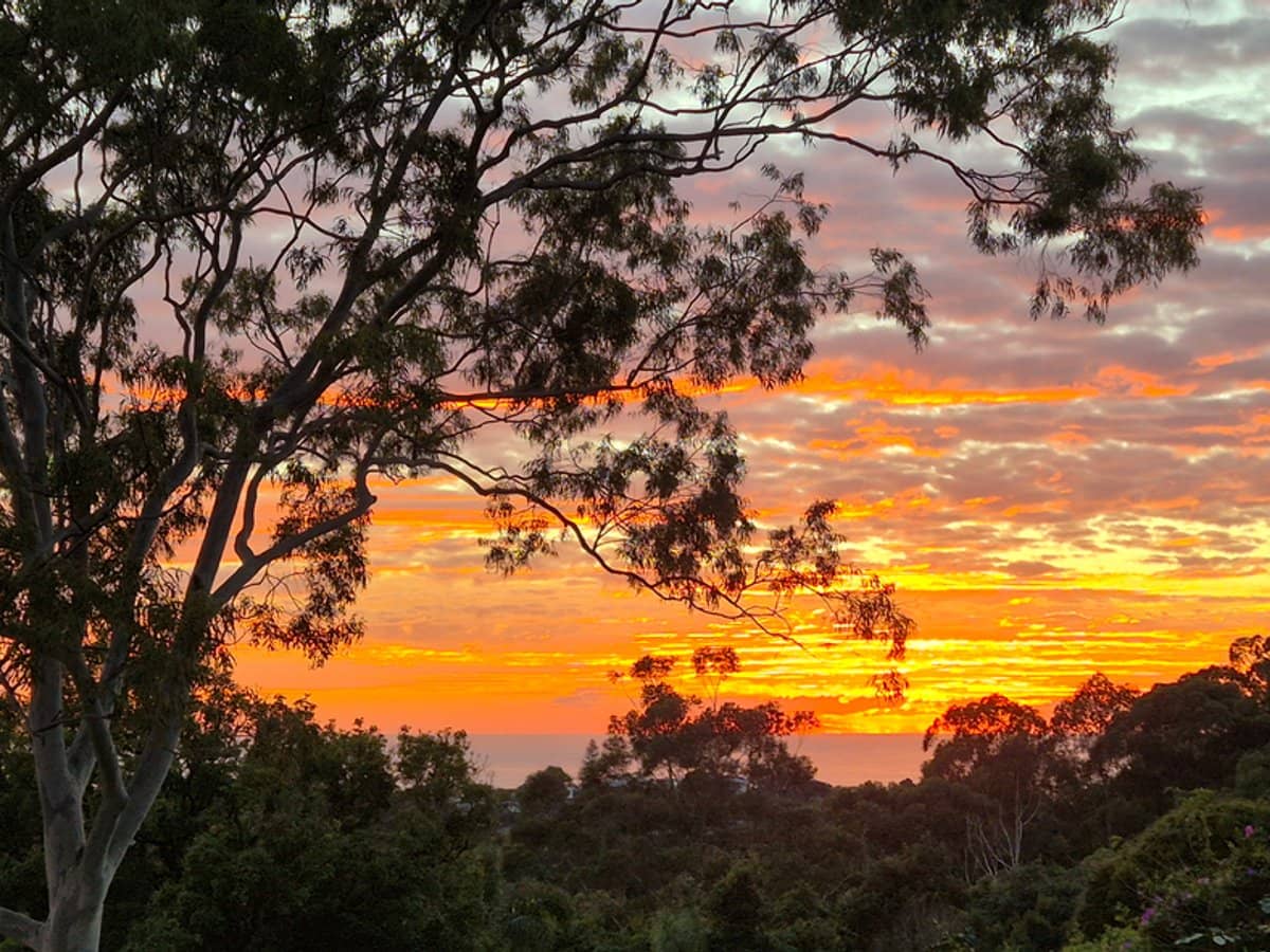 32 Tongarra Drive, OCEAN SHORES - Thumbnail 35