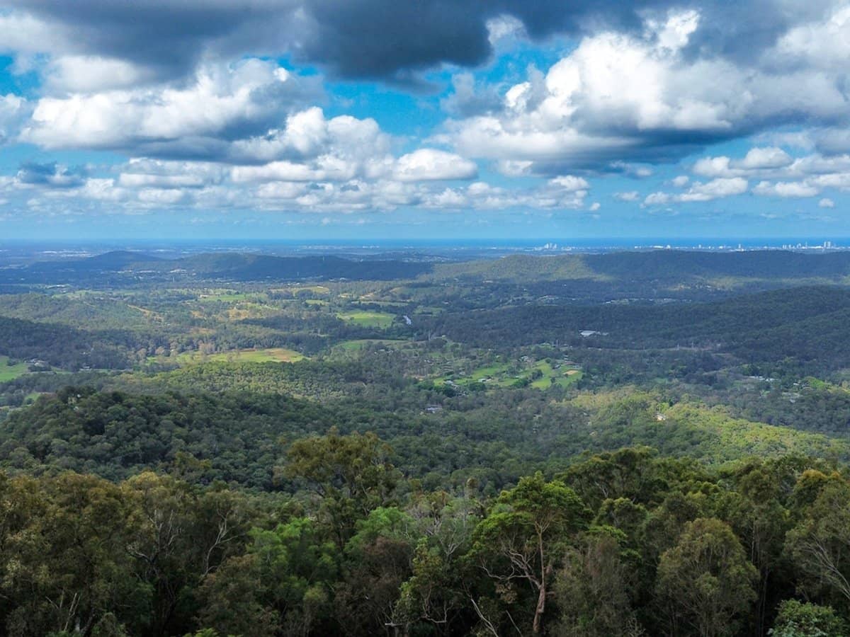 21 Wildflower Court, TAMBORINE MOUNTAIN - Thumbnail 11