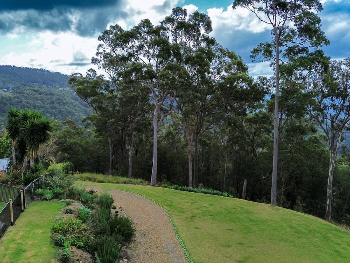 21 Wildflower Court, TAMBORINE MOUNTAIN - Thumbnail 19