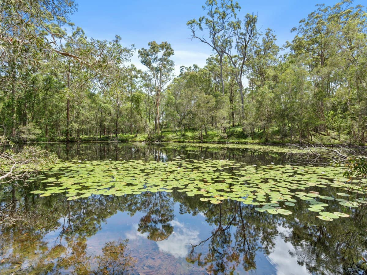 47 Worley Drive, GILSTON - Thumbnail 8