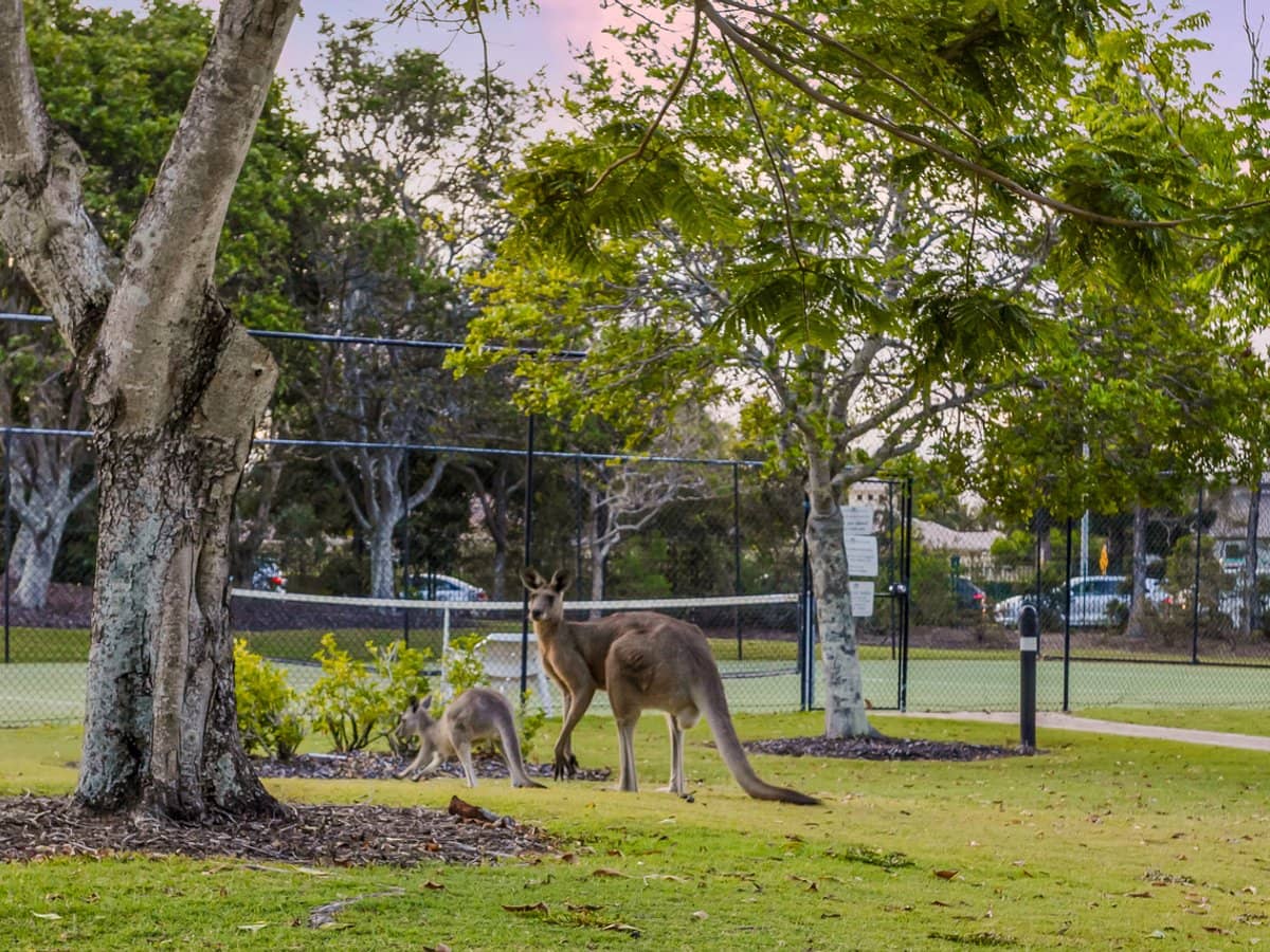 8133 Magnolia Drive West, Hope Island - Thumbnail 26