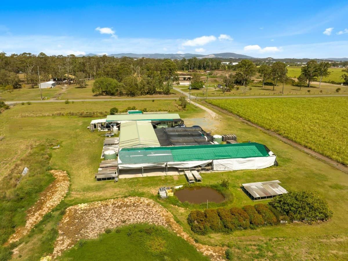 113 Zipfs Road, Alberton - Thumbnail 8