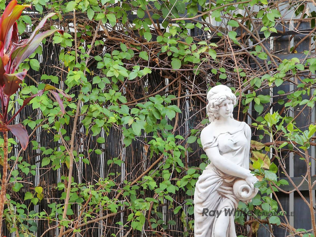 19 Tropical Drive, FOREST LAKE - Thumbnail 21