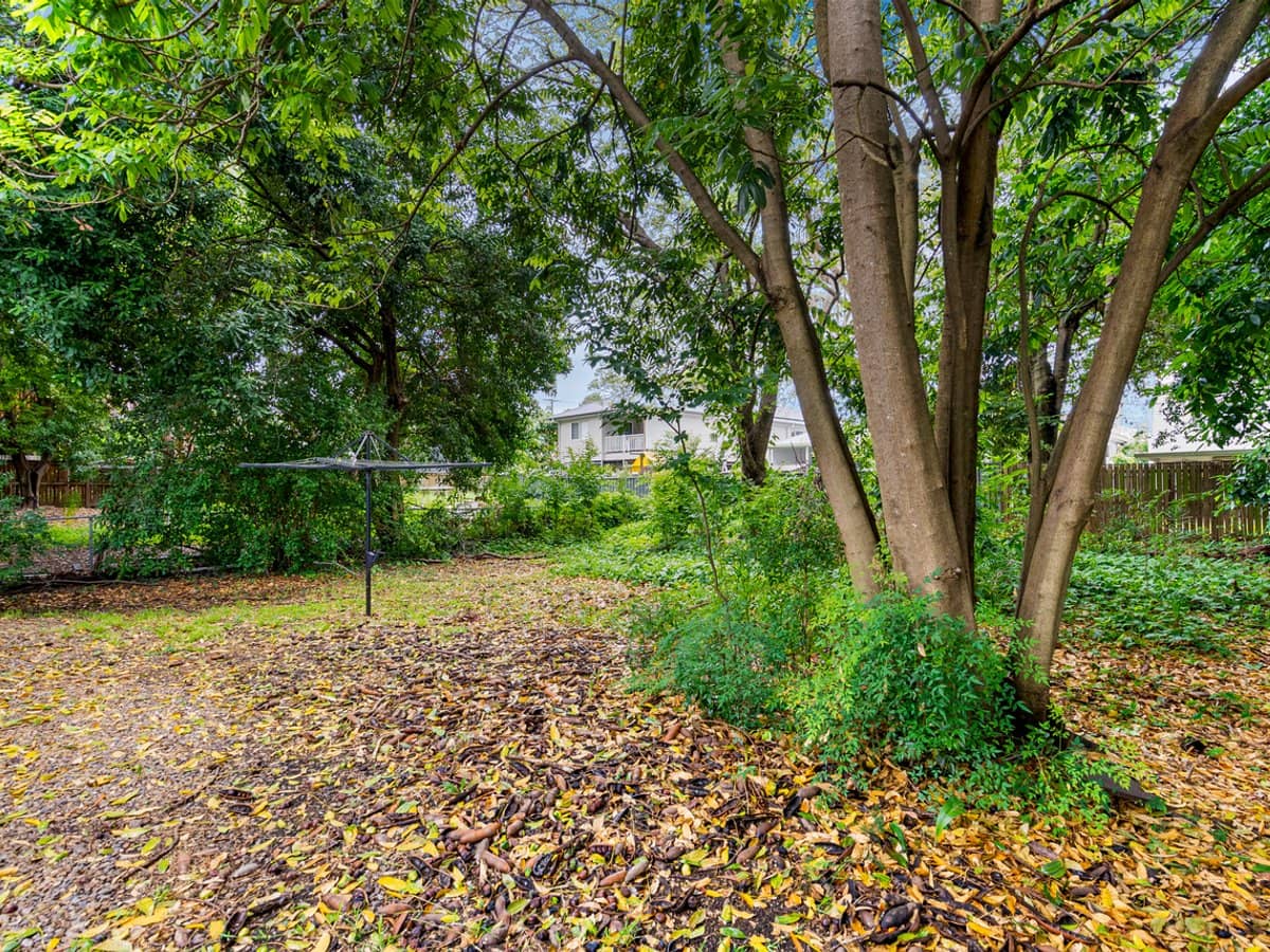 24 Badger Street, NEWMARKET - Thumbnail 23