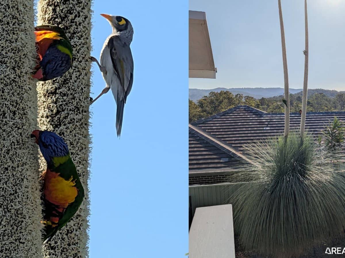 2 Carmel Close, Gilston - Thumbnail 22