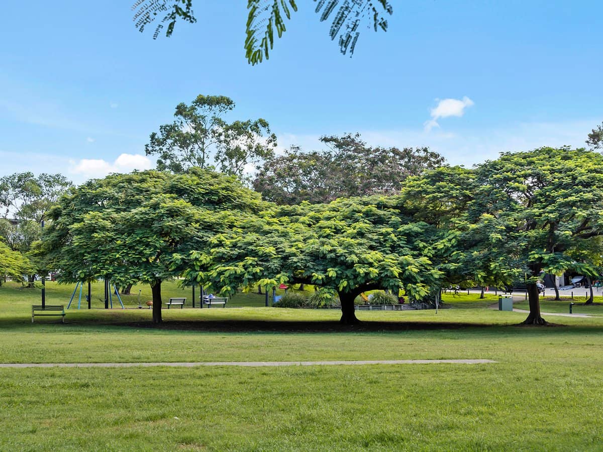 50 Oateson Skyline Drive, Seven Hills - Thumbnail 7