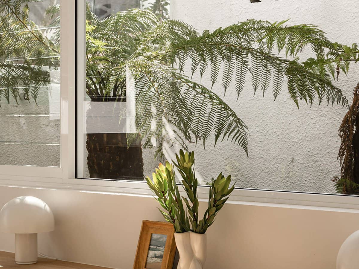 59 Dickens Street, Norman Park - Thumbnail 31