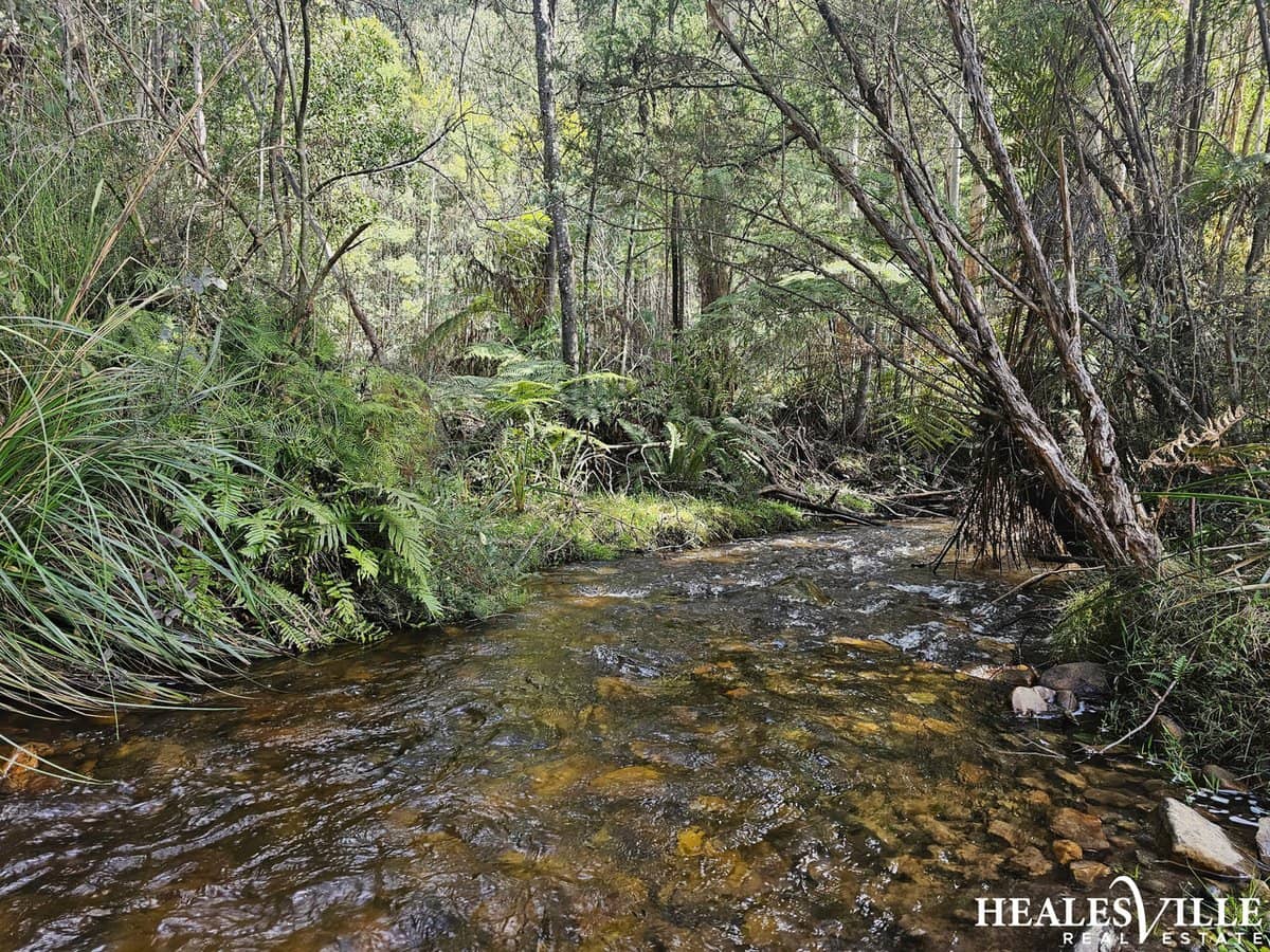 32 Aubrey Cuzens Drive, MARYSVILLE - Thumbnail 4