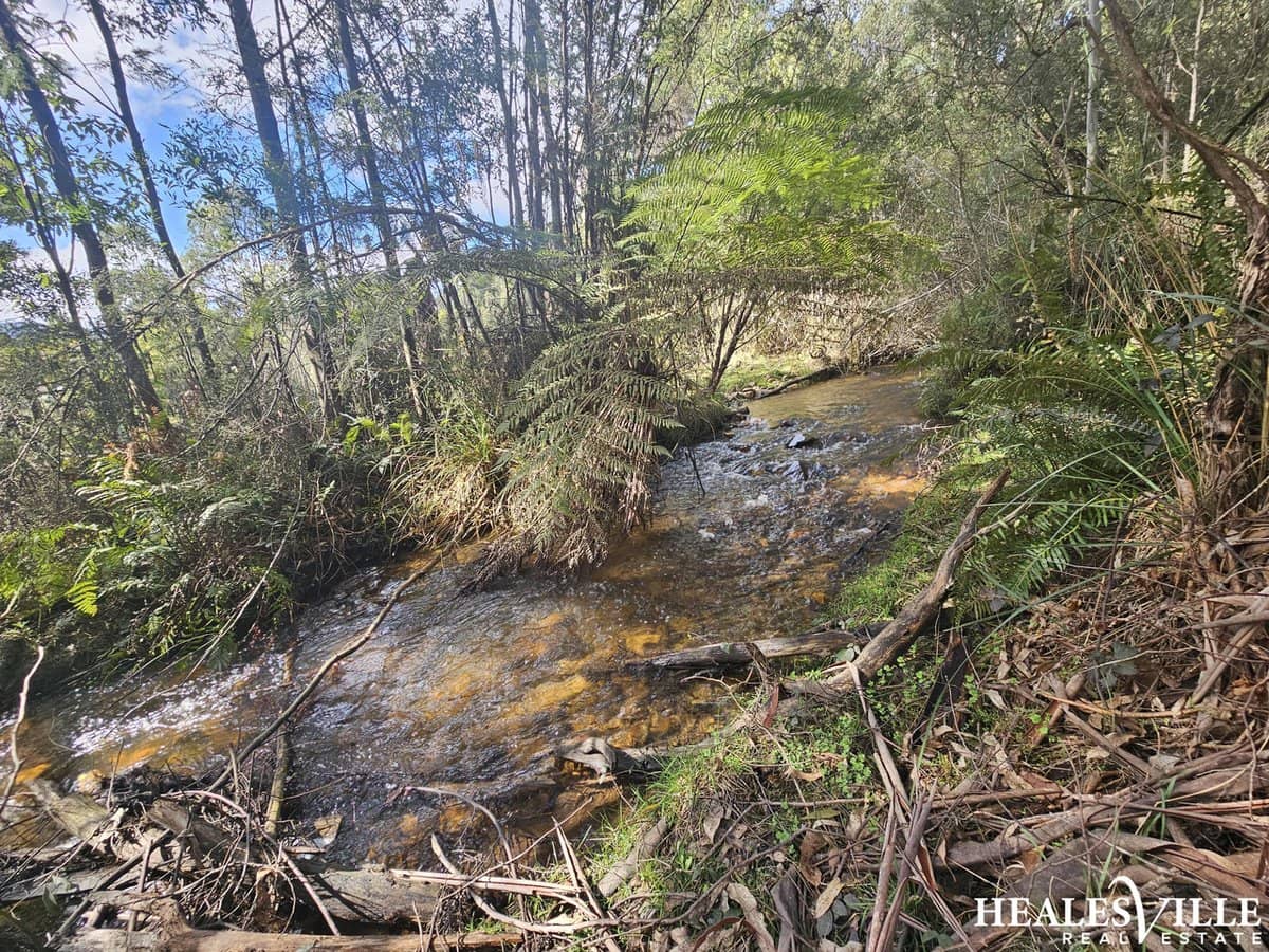 32 Aubrey Cuzens Drive, MARYSVILLE - Thumbnail 6