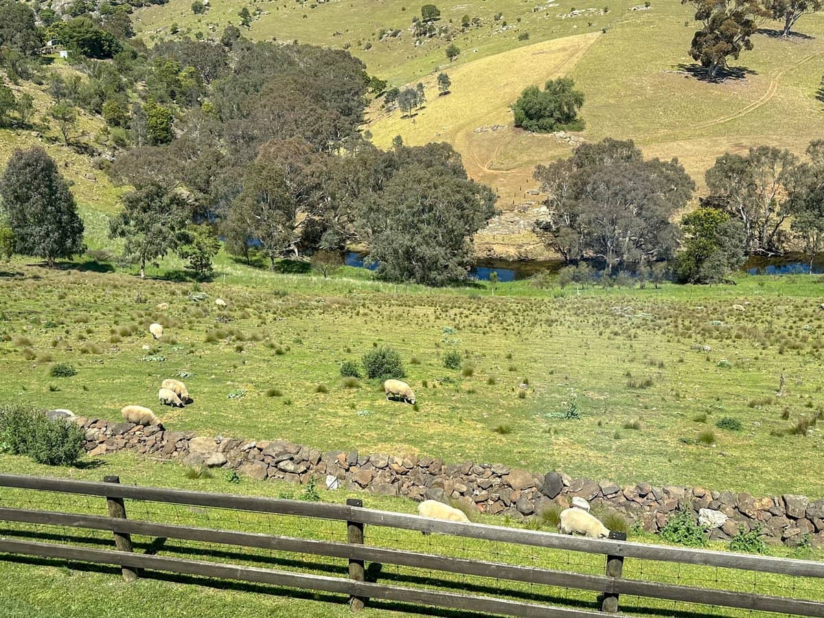 20 Creasey Court, BULLA - Thumbnail 29