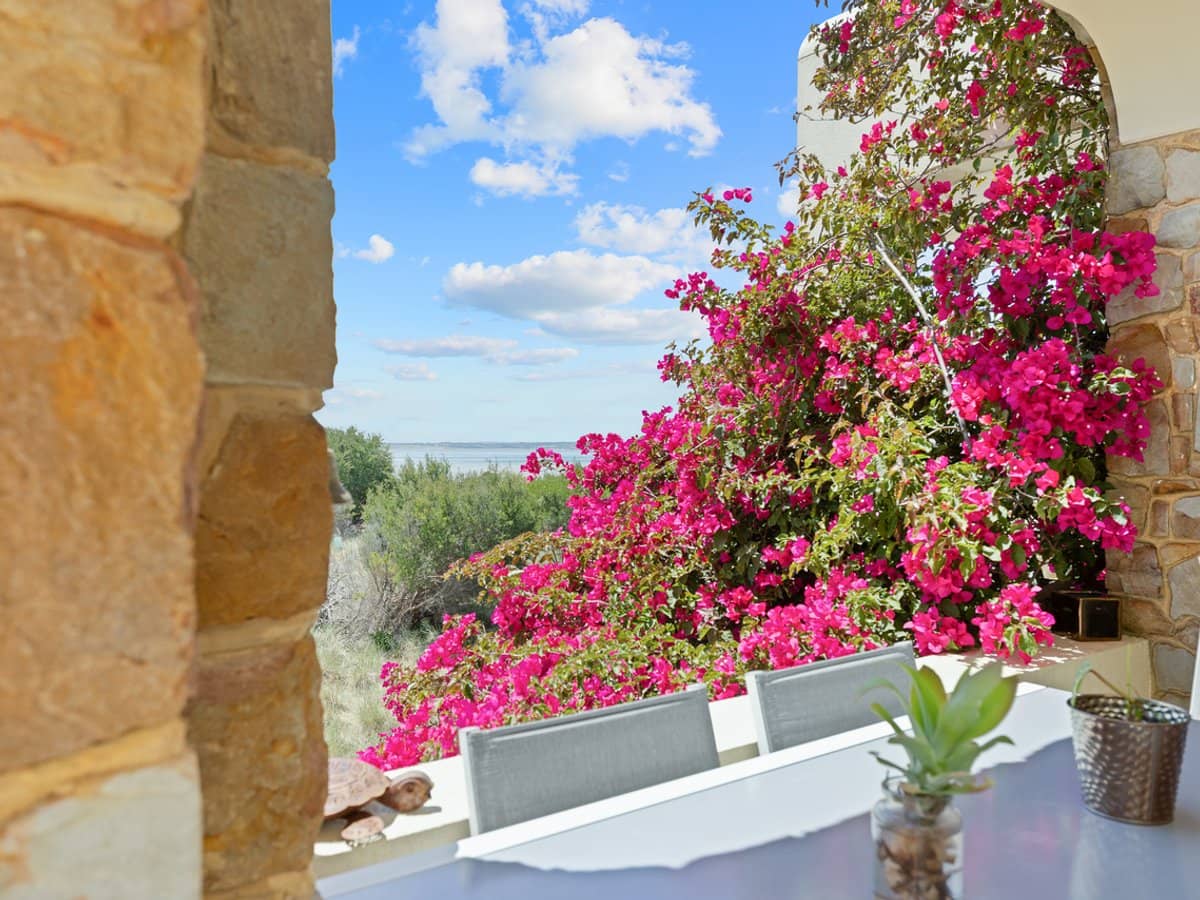 103 Silverleaves Avenue, SILVERLEAVES - Thumbnail 8