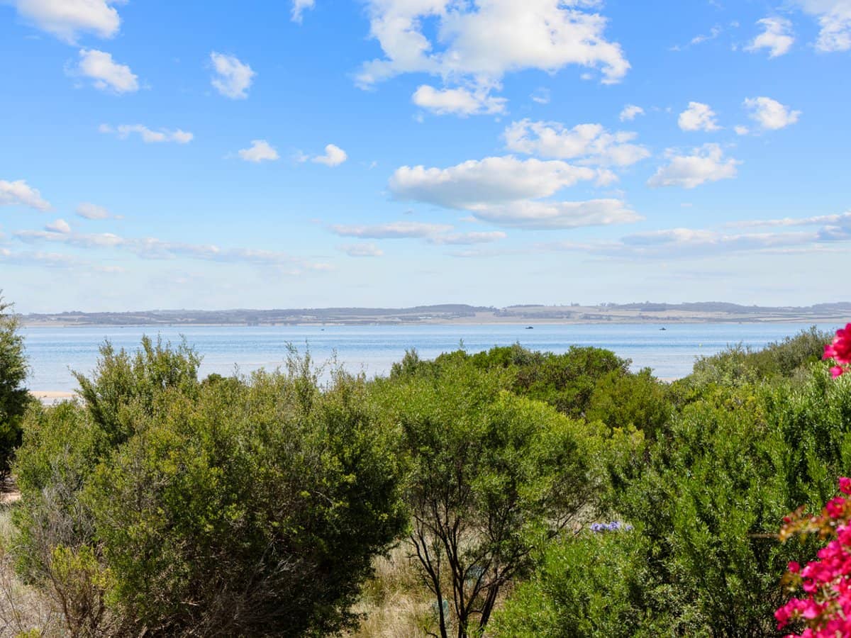 103 Silverleaves Avenue, SILVERLEAVES - Thumbnail 9