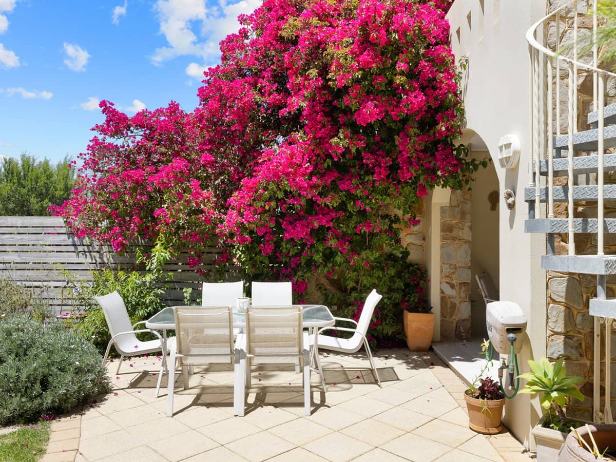 103 Silverleaves Avenue, SILVERLEAVES - Thumbnail 10