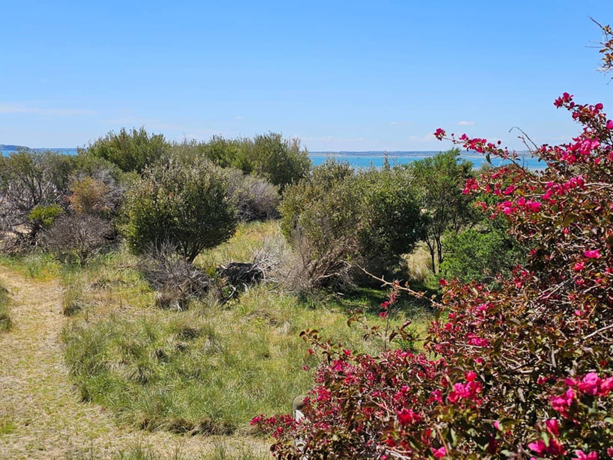 103 Silverleaves Avenue, SILVERLEAVES - Thumbnail 12