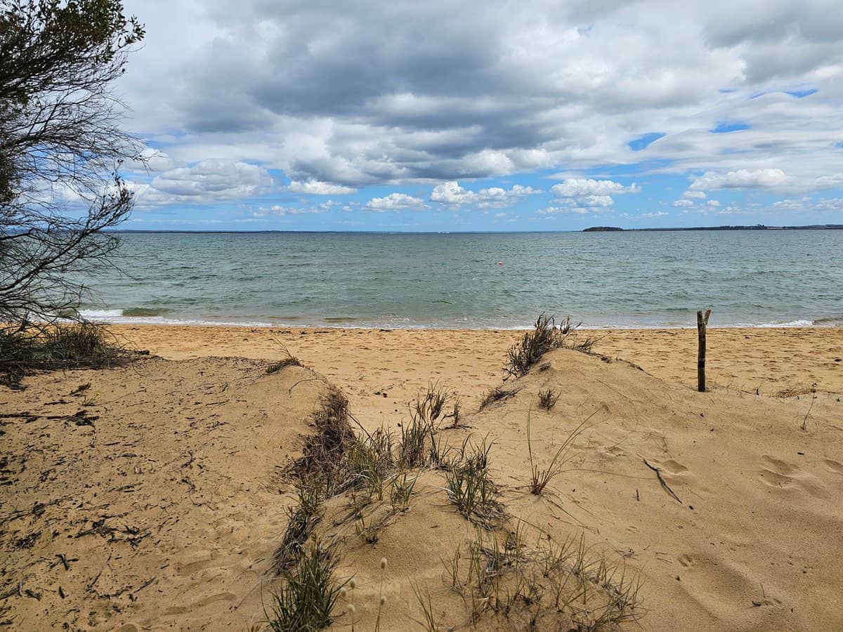 103 Silverleaves Avenue, SILVERLEAVES - Thumbnail 29