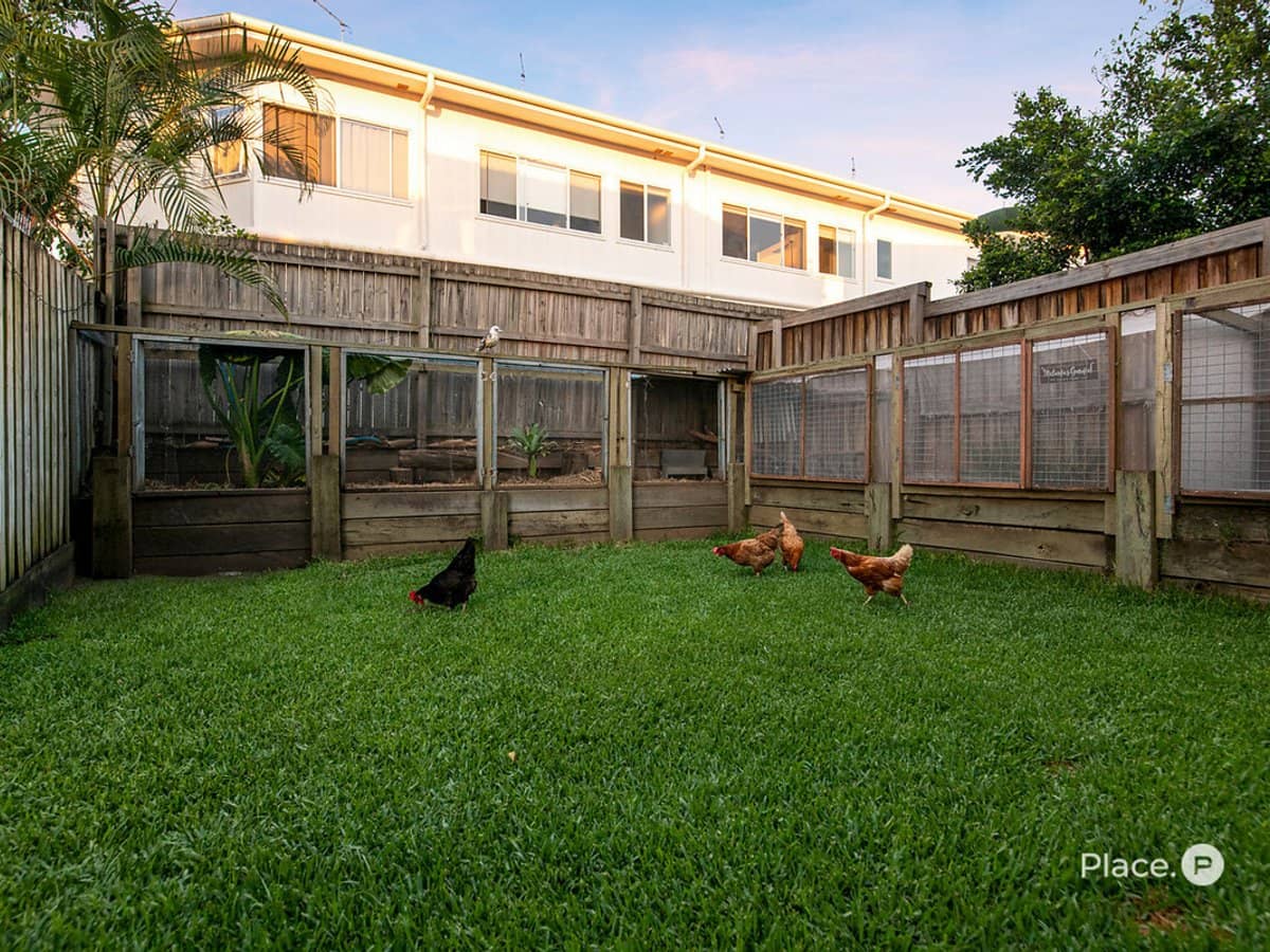 22 Howsan Street, Mount Gravatt East - Thumbnail 13