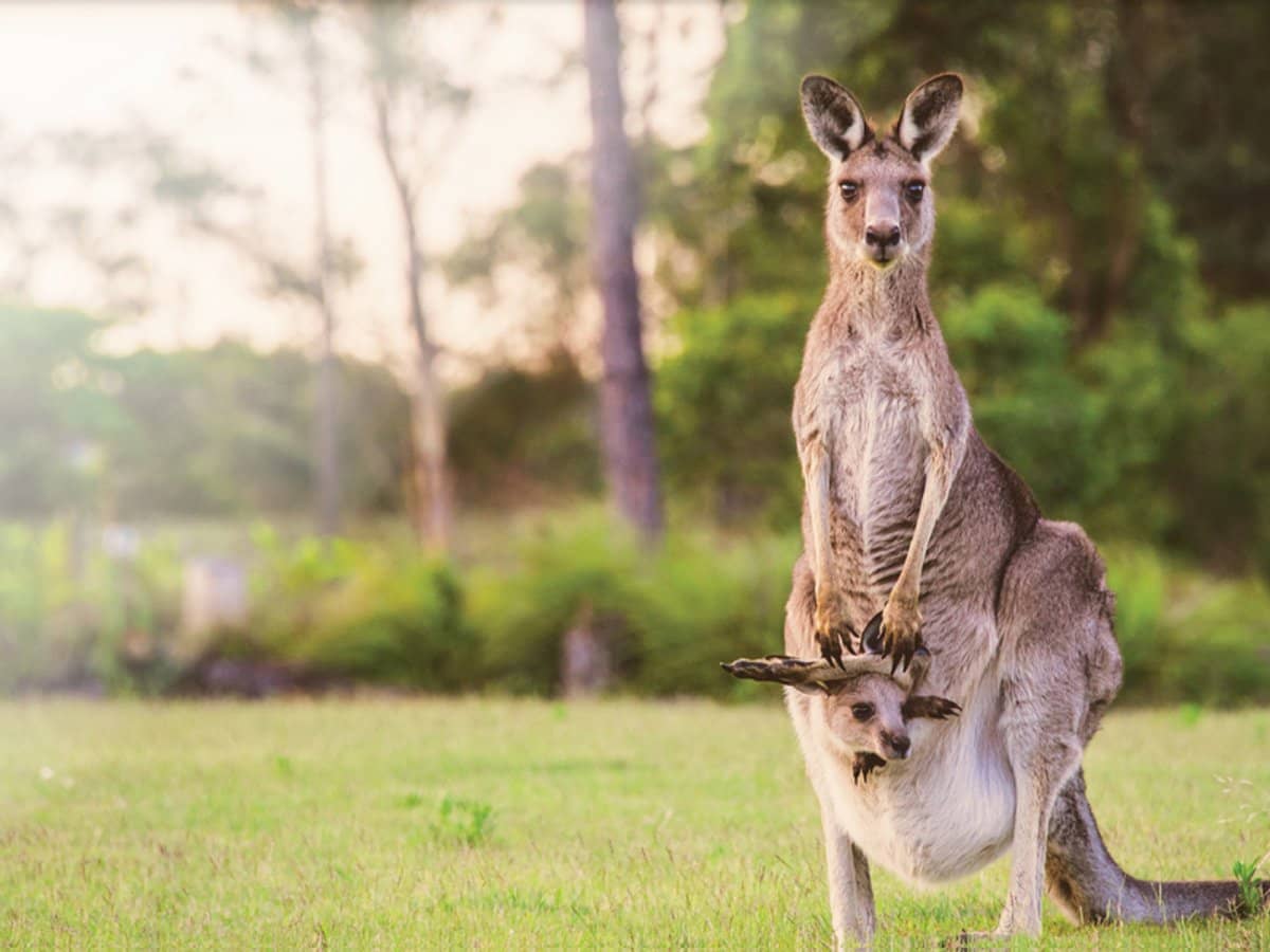 Stanton Street, THORNLANDS - Thumbnail 9