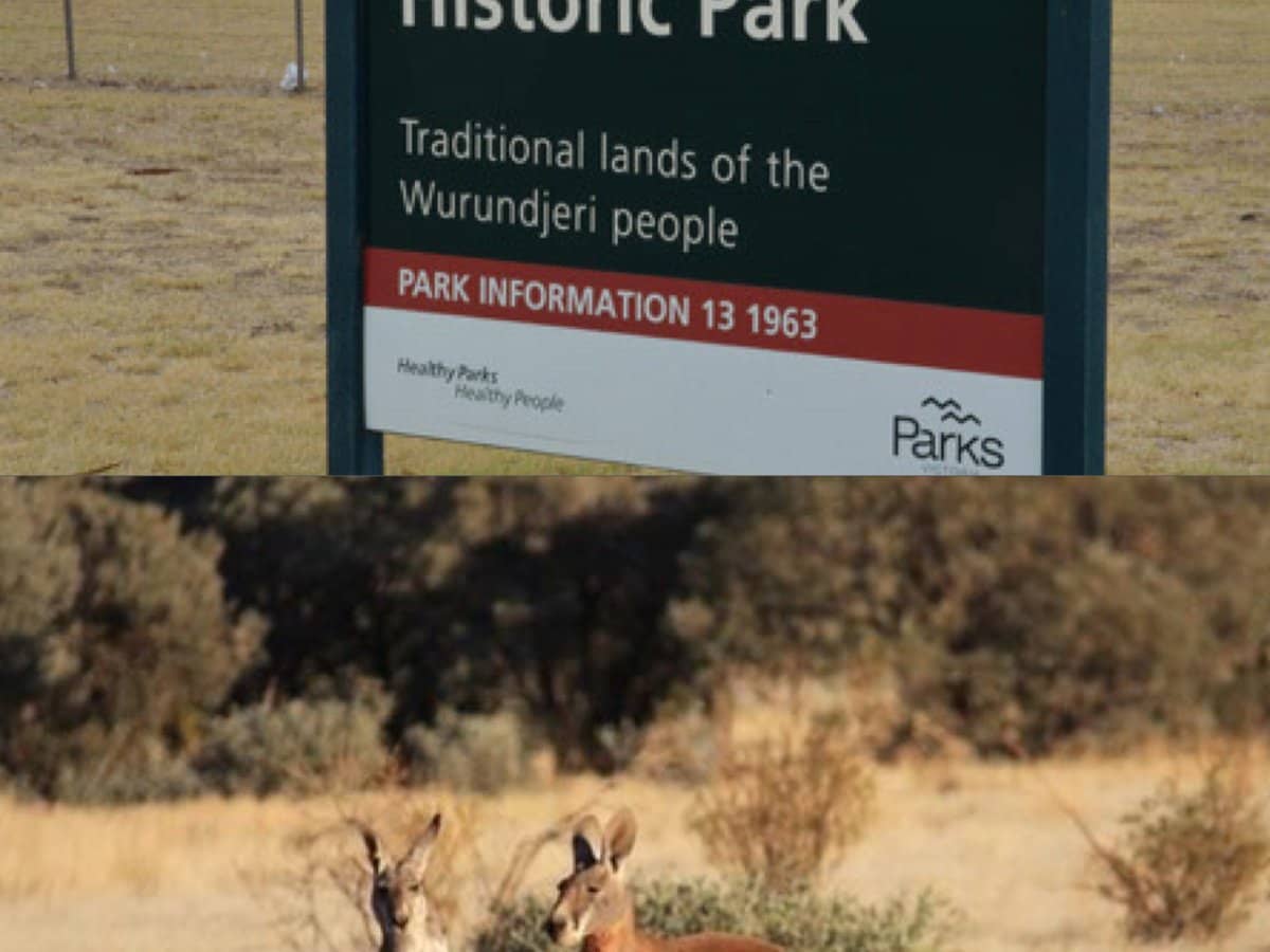 5 Granite Close, GREENVALE - Thumbnail 9