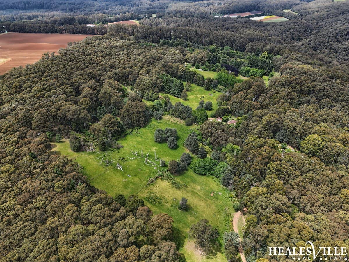 1394-1396 Healesville-Kinglake Road, TOOLANGI - Thumbnail 22