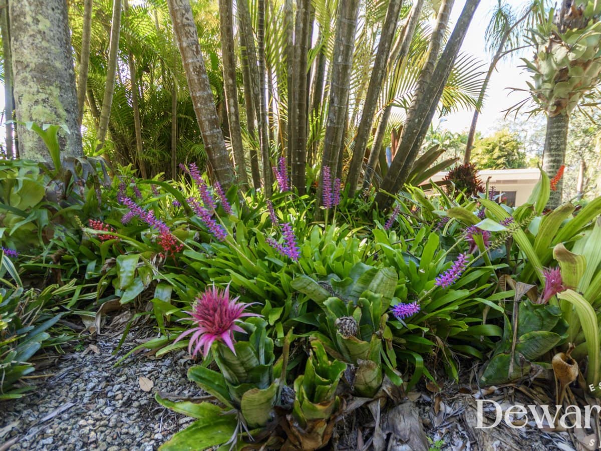 94 Williams Road, MOODLU - Thumbnail 32