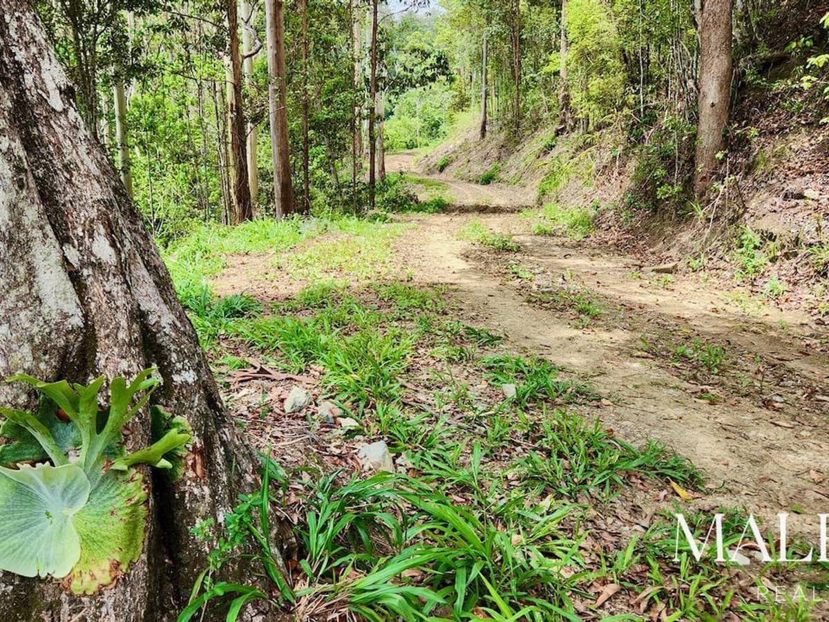 97-155 Doyle Road, WOOTHA - Thumbnail 20