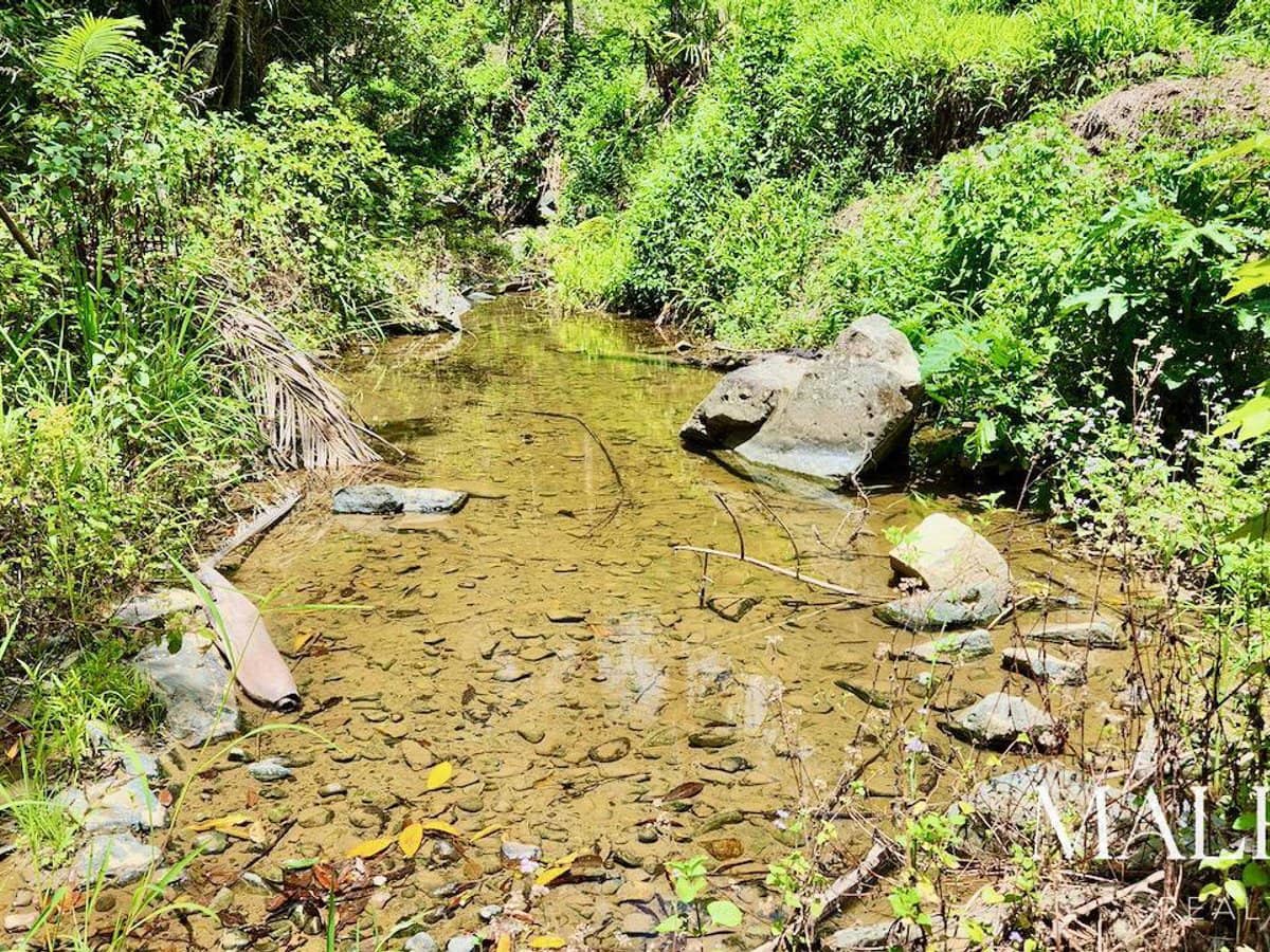 97-155 Doyle Road, WOOTHA - Thumbnail 21