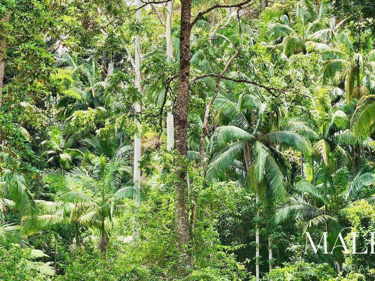 97-155 Doyle Road, WOOTHA - Thumbnail 28