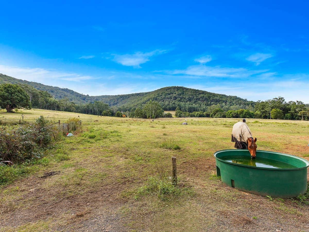 1519 Yarramalong Road, YARRAMALONG - Thumbnail 7