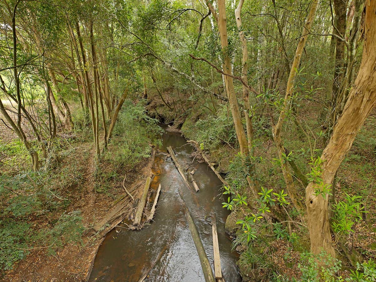 1519 Yarramalong Road, YARRAMALONG - Thumbnail 8