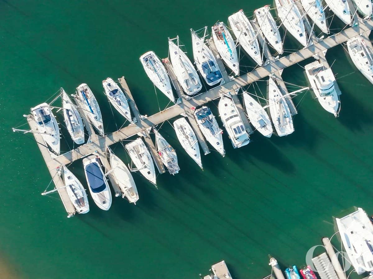 11 Dawson Avenue, BRIGHTON - Thumbnail 15