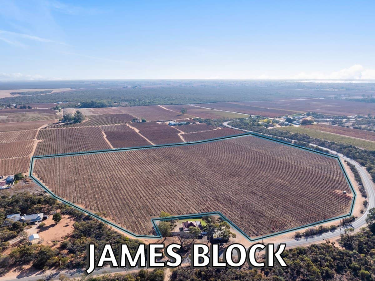 Lt1 Dalziel Road, WINKIE - Thumbnail 1