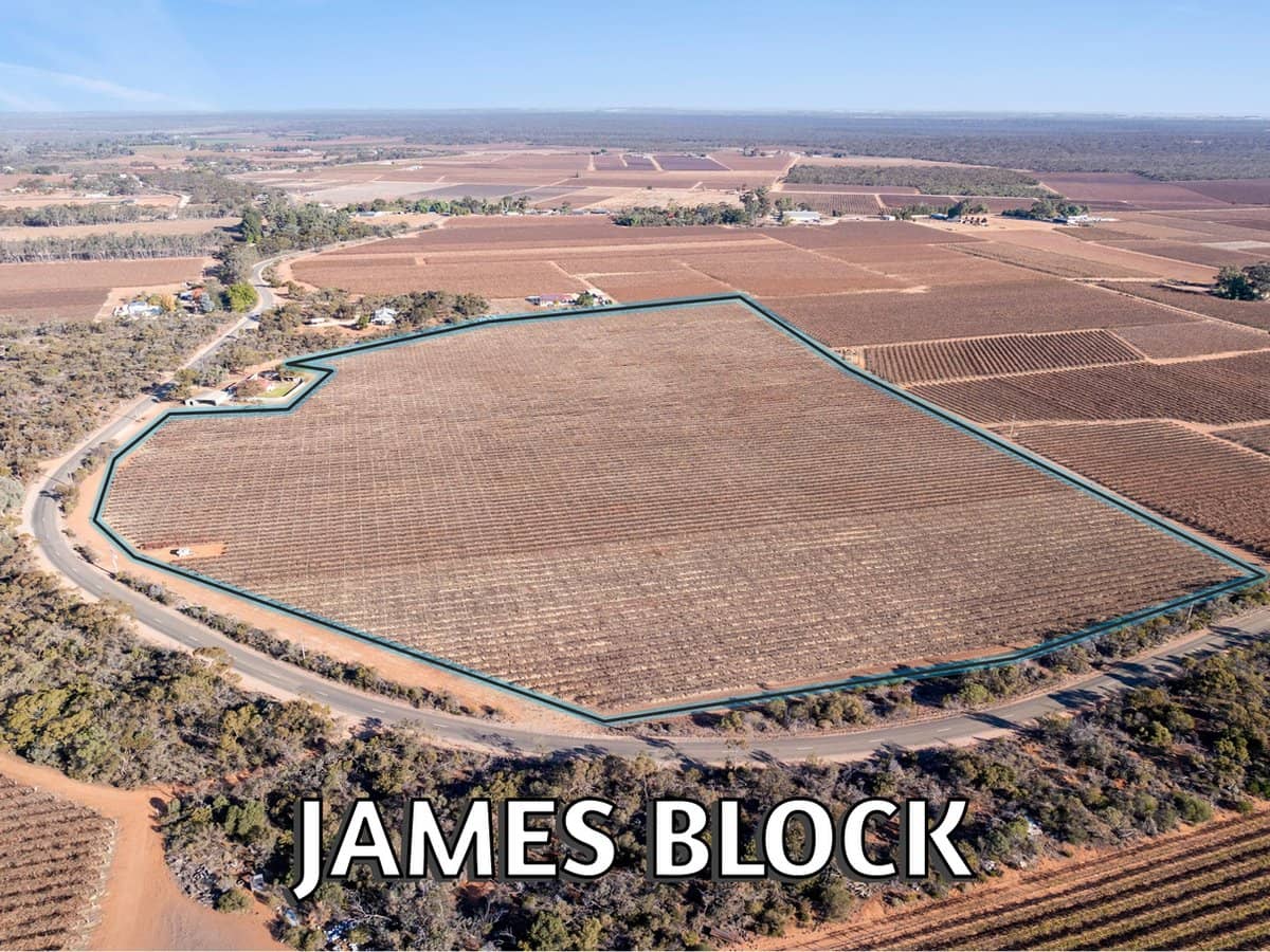 Lt1 Dalziel Road, WINKIE - Thumbnail 2