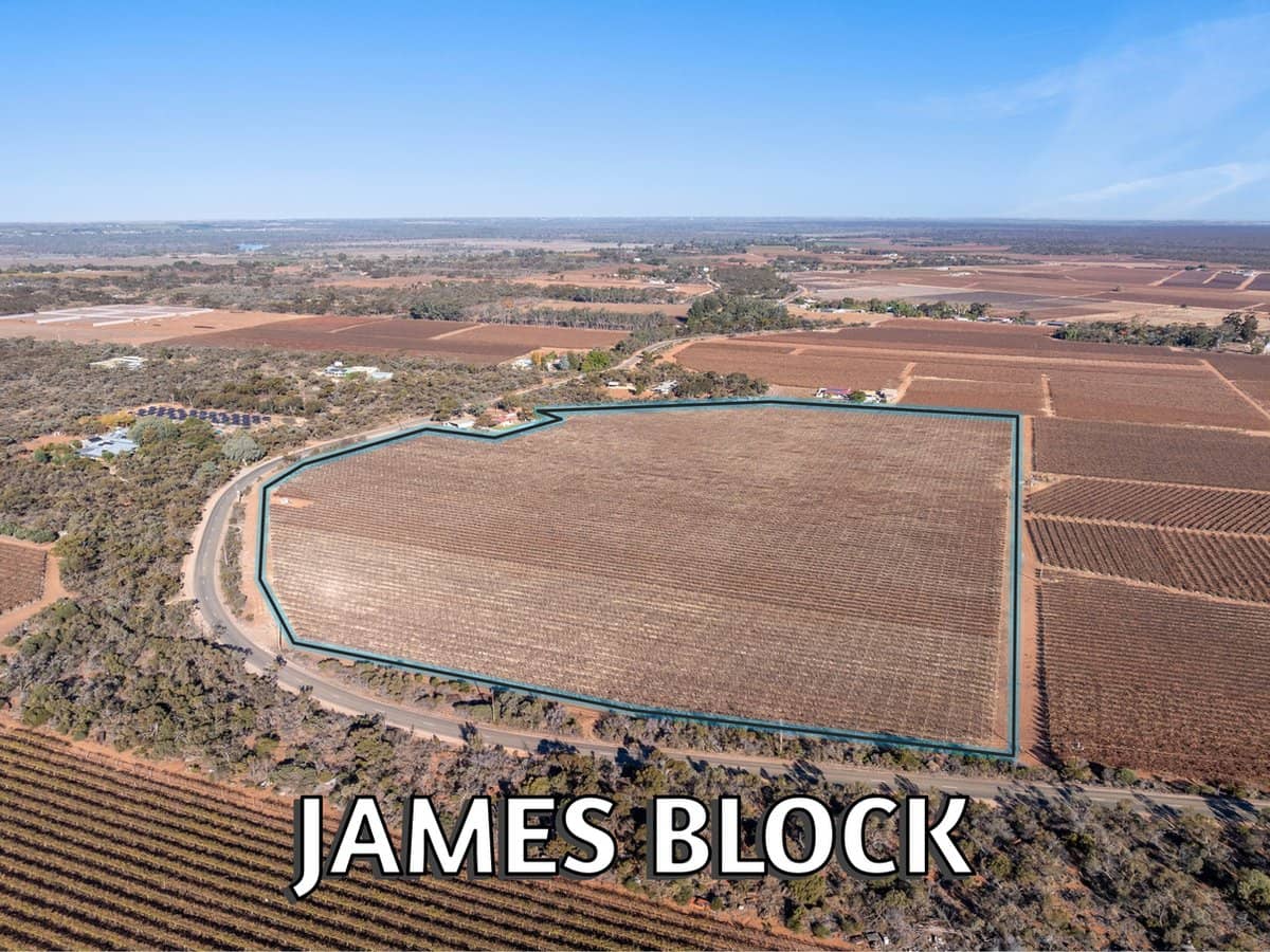 Lt1 Dalziel Road, WINKIE - Thumbnail 3