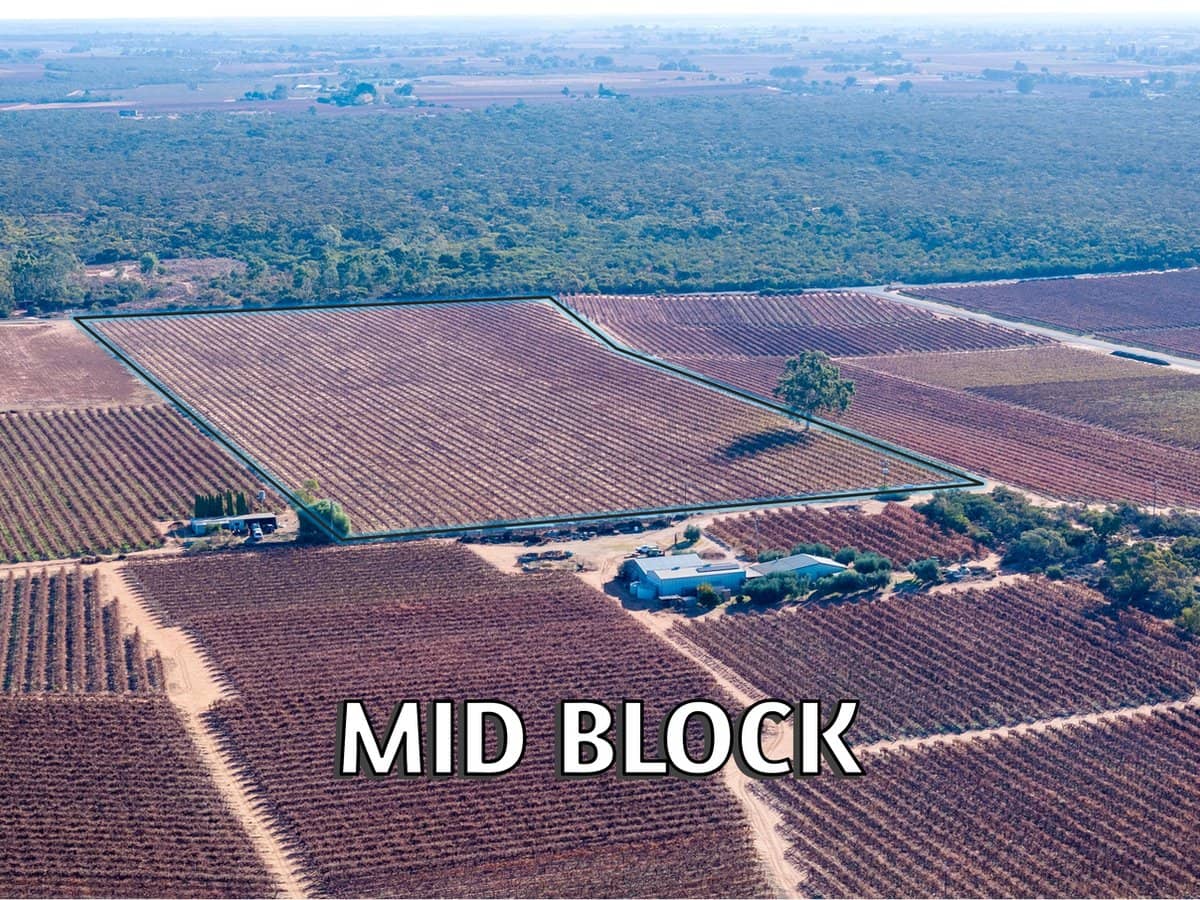 Lt 192 Puddletown Road, WINKIE - Thumbnail 1