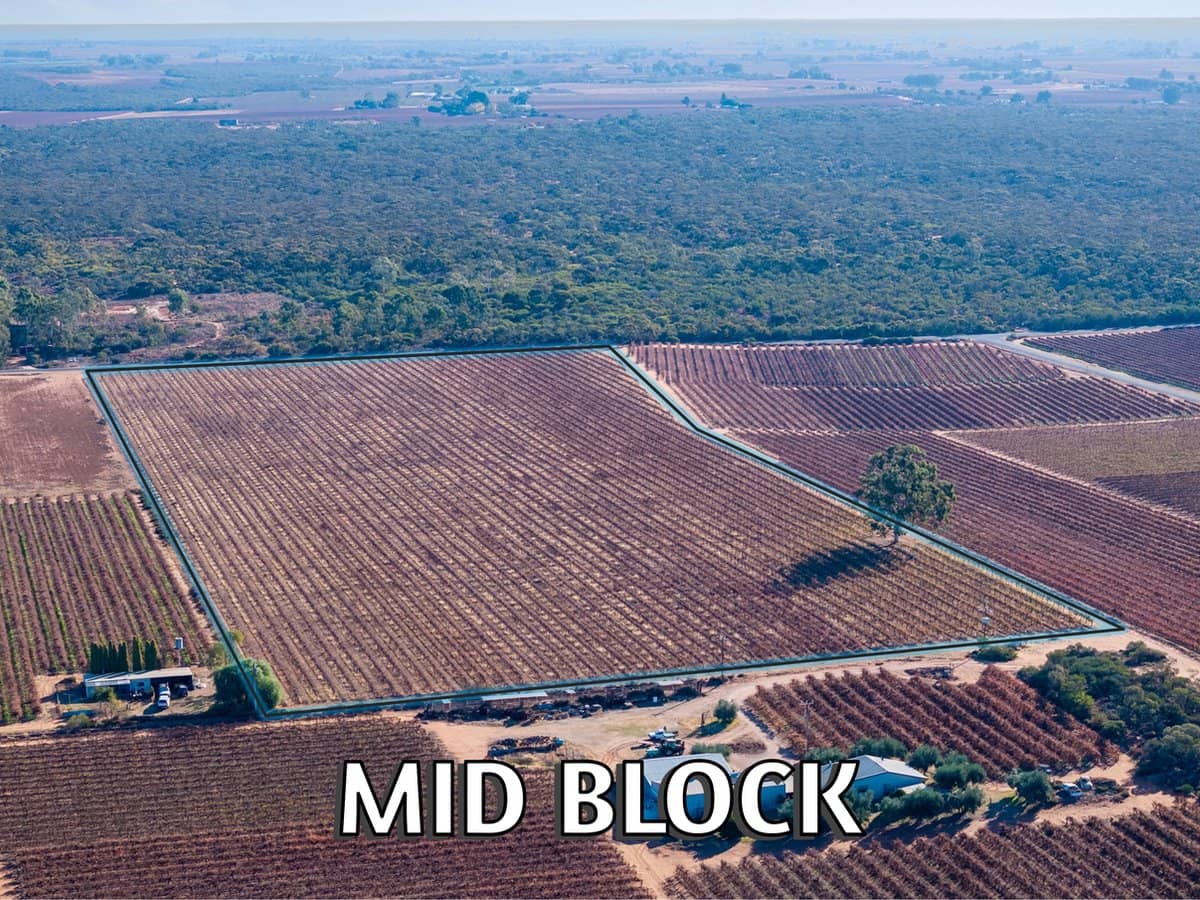 Lt 192 Puddletown Road, WINKIE - Thumbnail 2