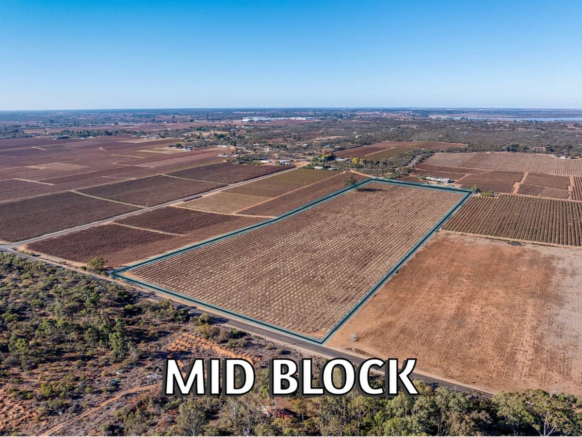 Lt 192 Puddletown Road, WINKIE - Thumbnail 3