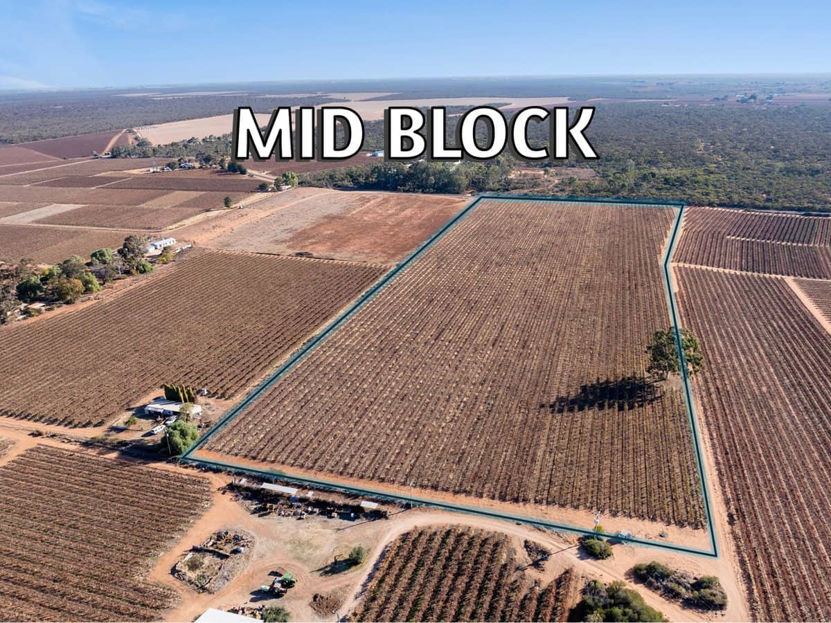 Lt 192 Puddletown Road, WINKIE - Thumbnail 4