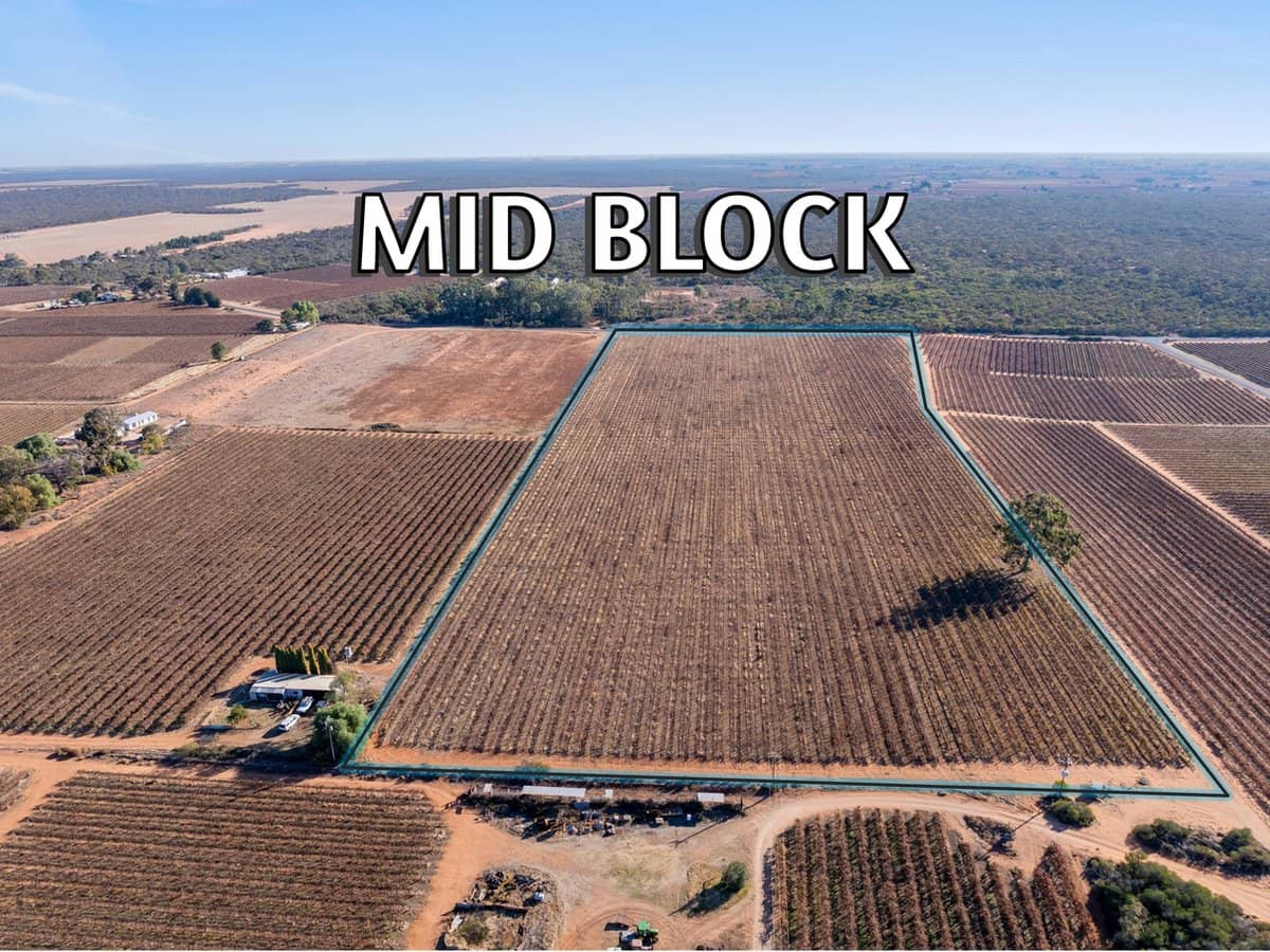 Lt 192 Puddletown Road, WINKIE - Thumbnail 5