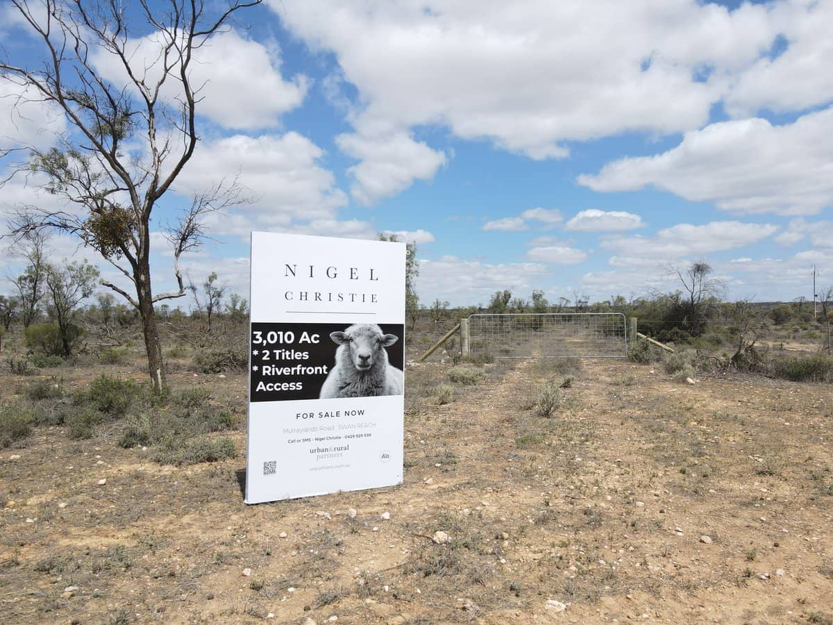 5621 Murraylands Road, SWAN REACH - Thumbnail 3