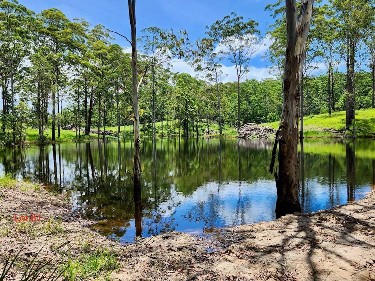 Lot 61/485/484/483/7 Bellthorpe Road, SANDY CREEK - Thumbnail 1