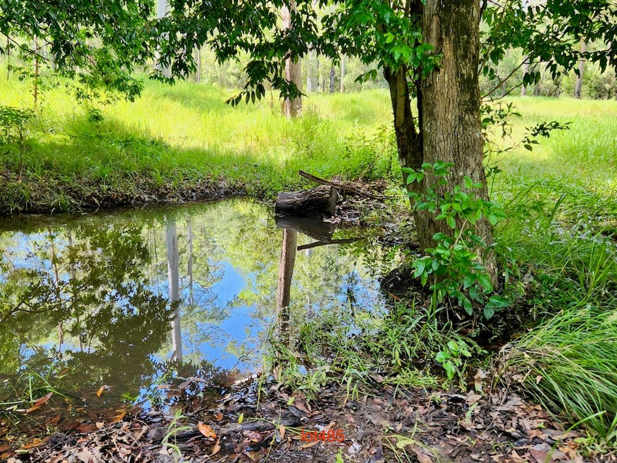 Lot 61/485/484/483/7 Bellthorpe Road, SANDY CREEK - Thumbnail 6