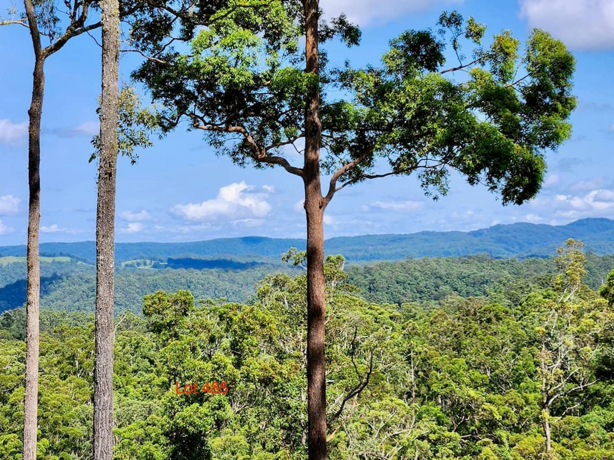 Lot 61/485/484/483/7 Bellthorpe Road, SANDY CREEK - Thumbnail 7