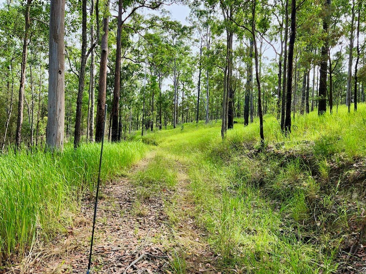 Lot 61/485/484/483/7 Bellthorpe Road, SANDY CREEK - Thumbnail 11