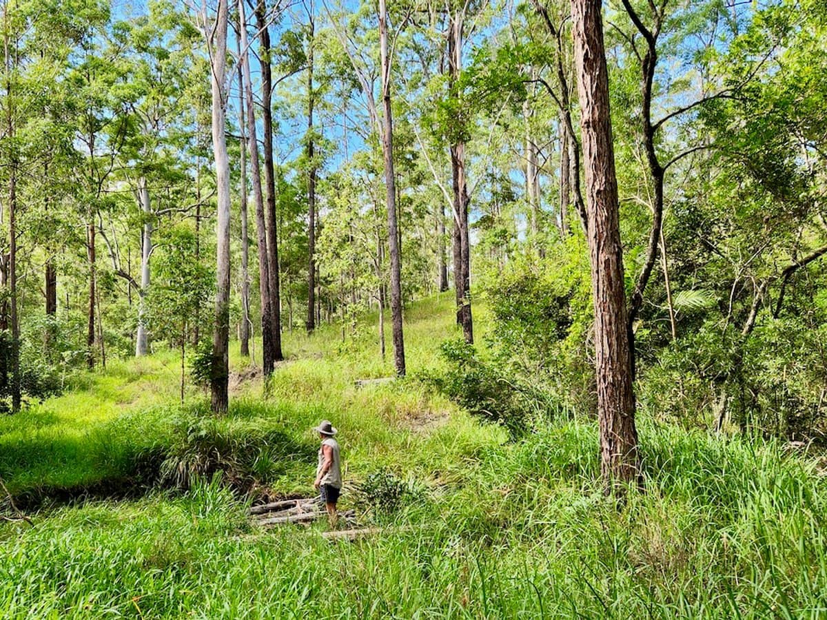 Lot 61/485/484/483/7 Bellthorpe Road, SANDY CREEK - Thumbnail 12