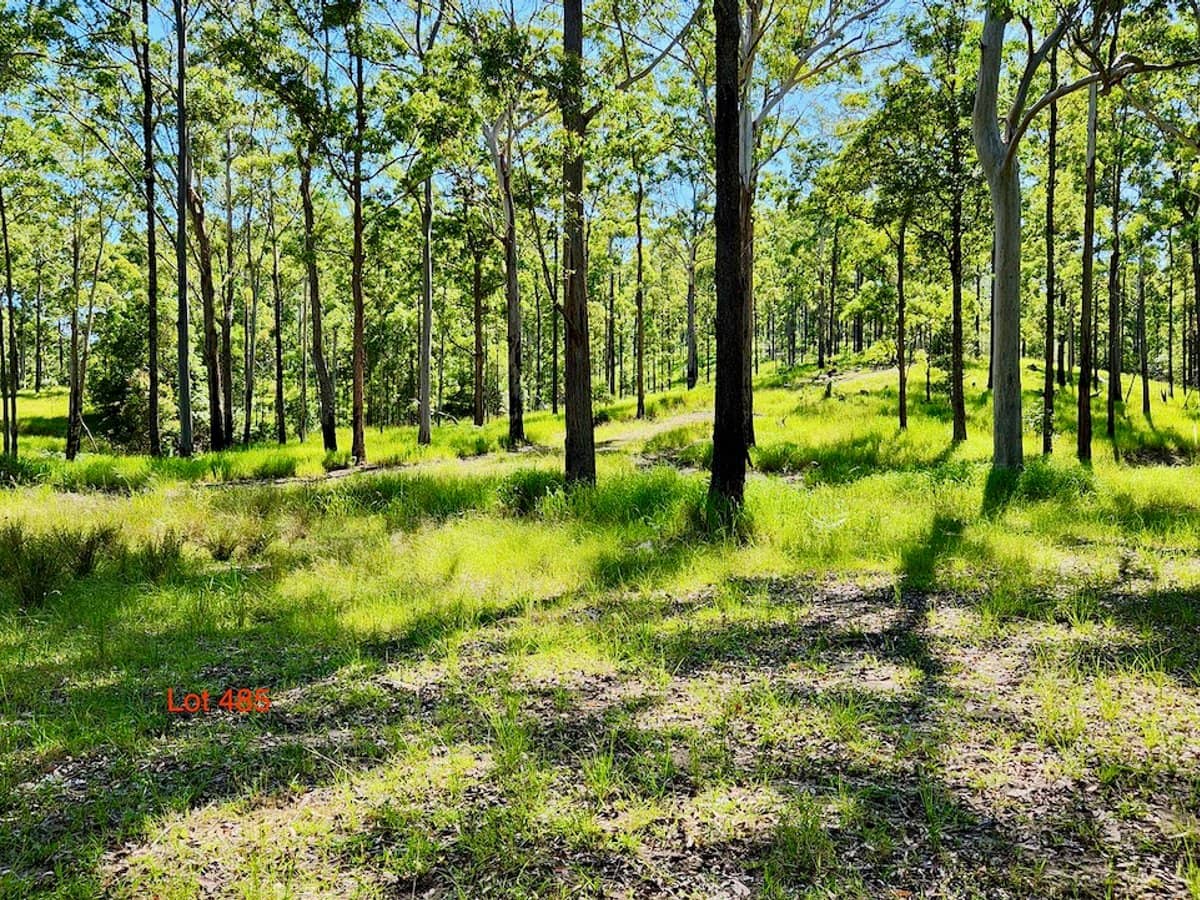 Lot 61/485/484/483/7 Bellthorpe Road, SANDY CREEK - Thumbnail 13