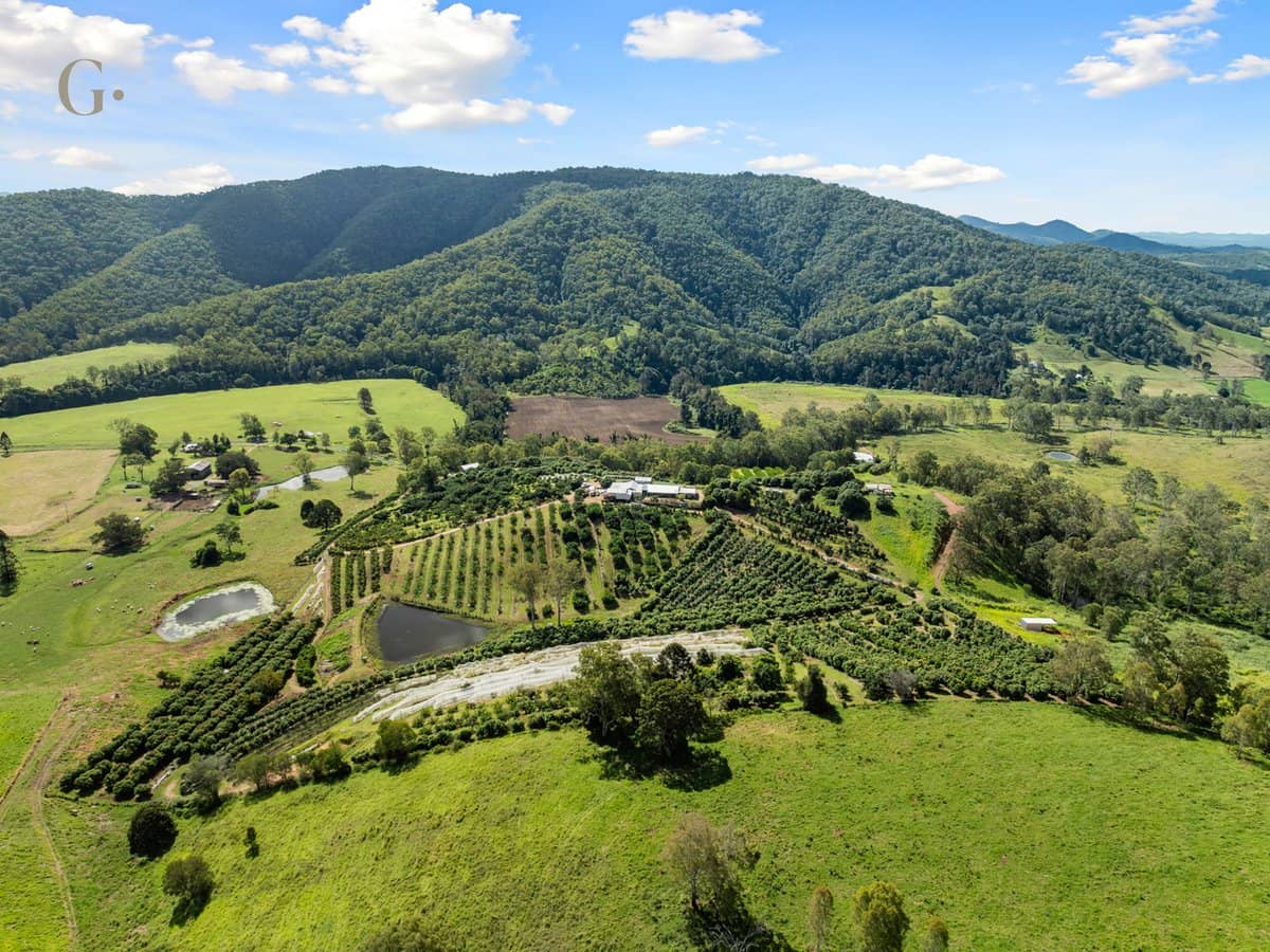 1207 Kandanga Creek Road, UPPER KANDANGA - Thumbnail 3