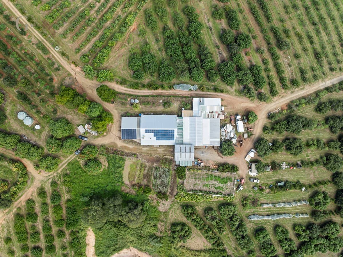 1207 Kandanga Creek Road, UPPER KANDANGA - Thumbnail 19