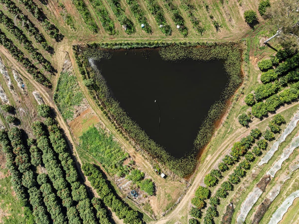 1207 Kandanga Creek Road, UPPER KANDANGA - Thumbnail 20