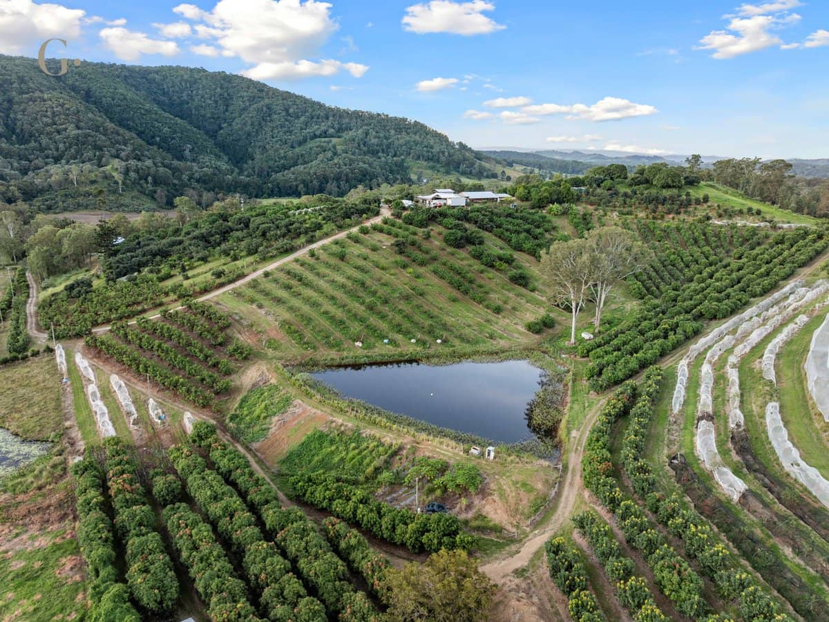 1207 Kandanga Creek Road, UPPER KANDANGA - Thumbnail 21